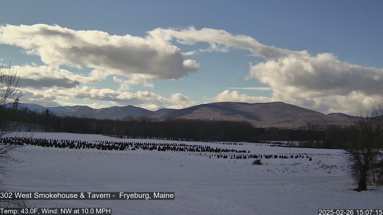A snow-covered field of Christmas trees sits before a line of mountains under a partly cloudy sky.