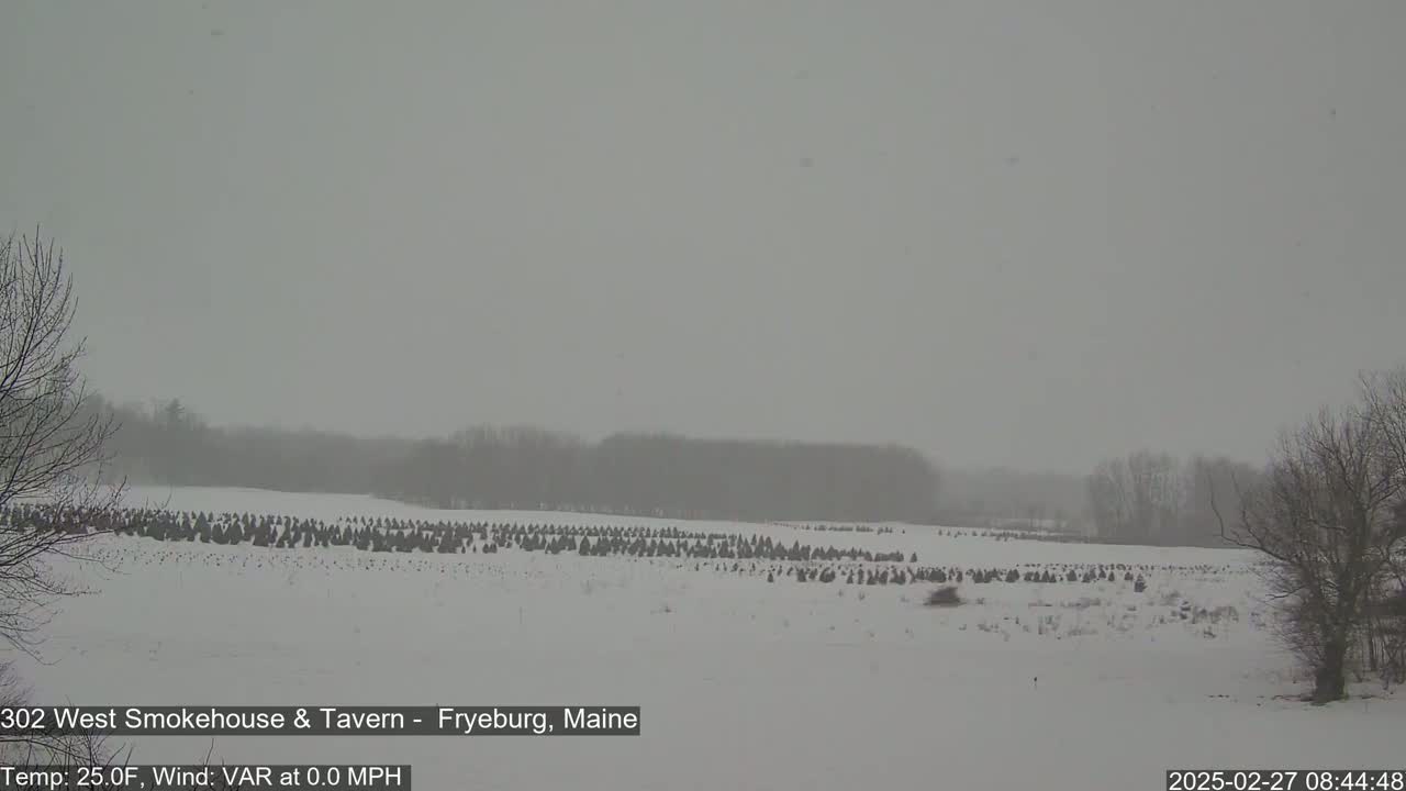 A snow-covered field with numerous small evergreen trees stretches across the landscape under a gray, snowy sky.
