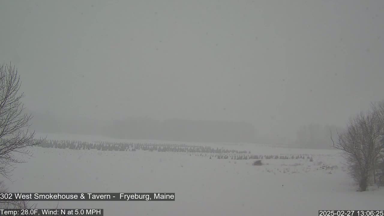 A snow-covered field with sparsely spaced evergreen trees is visible through a heavy snowfall under a gray sky.