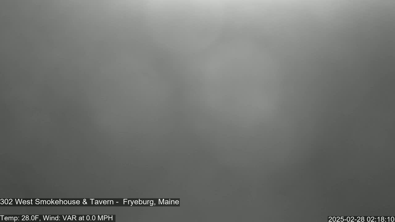 A blurry, gray image shows a foggy or hazy outdoor scene in low light.