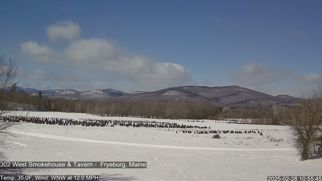 A snow-covered field with rows of small evergreen trees stretches towards distant, snow-dusted mountains under a partly cloudy blue sky.