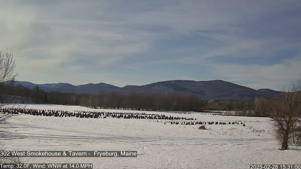 A snow-covered field with numerous dark, conical objects is set against a backdrop of bare trees and distant mountains under a partly cloudy sky.