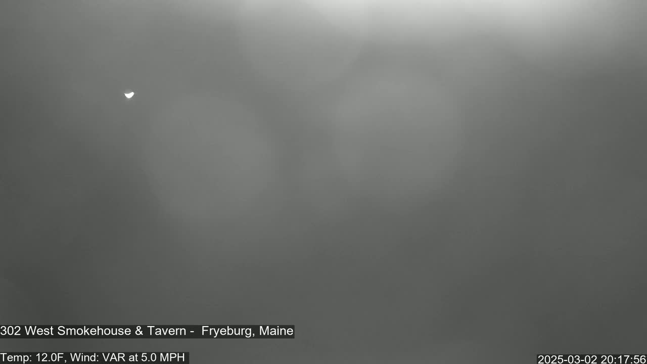 A mostly overcast, gray sky is visible with a small bright spot possibly the moon or a star.