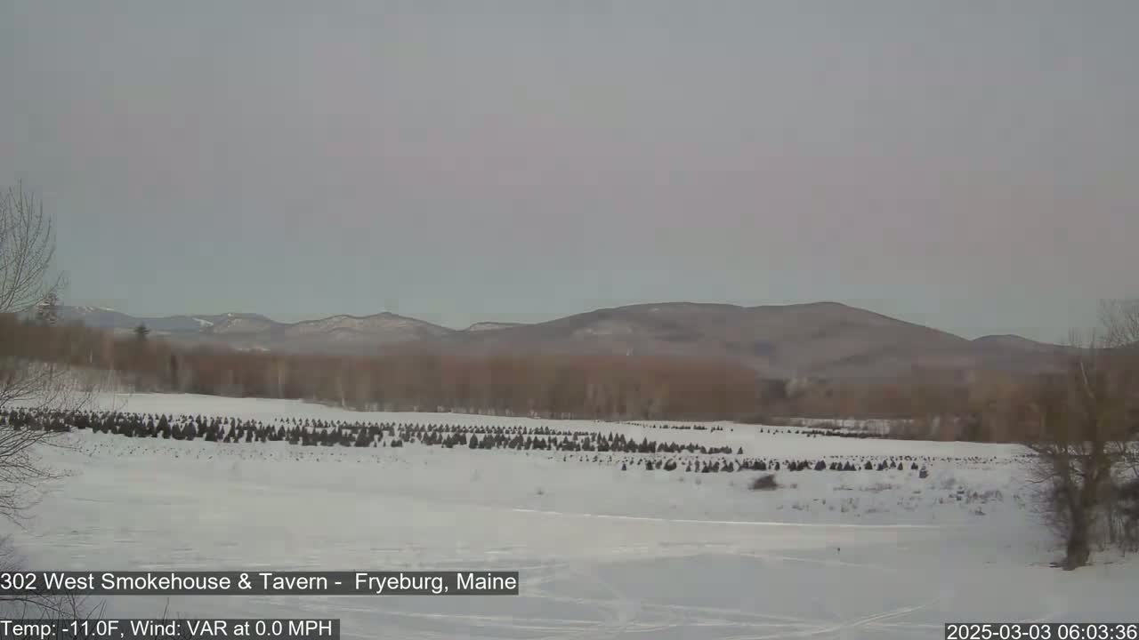 A snow-covered field with rows of small, dark evergreen trees stretches toward a line of distant, bare, brown hills under a pale, overcast sky.