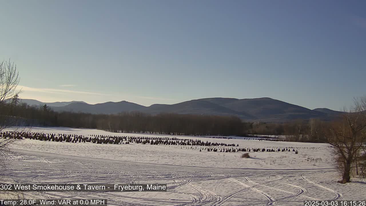 A snow-covered field with numerous hay bales stretches toward a line of dark, distant mountains under a clear, bright sky.