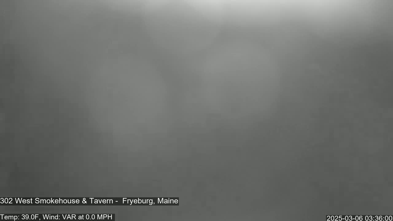 A blurry, gray image shows an overcast sky.