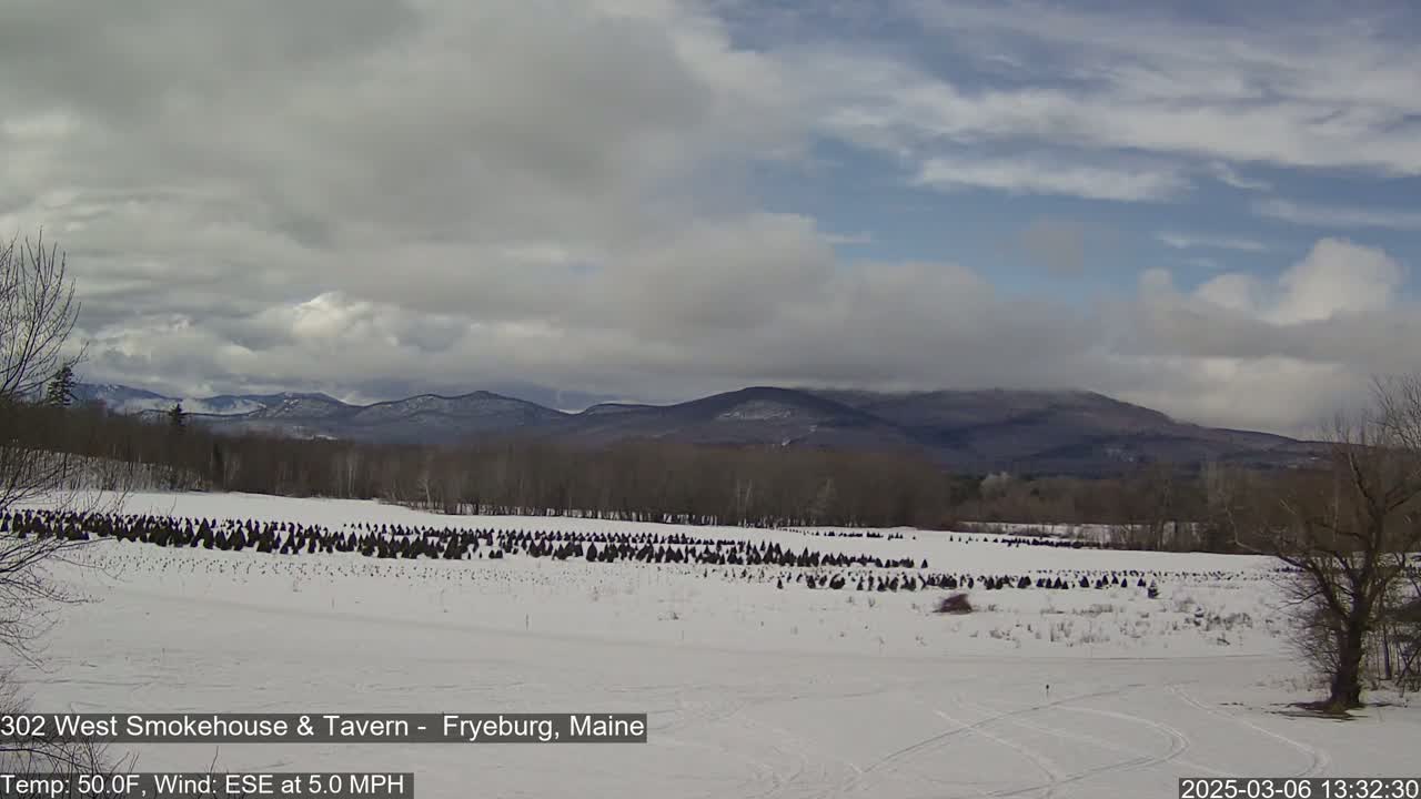 A snow-covered field with numerous dark evergreen trees stretches towards a mountain range under a partly cloudy sky.