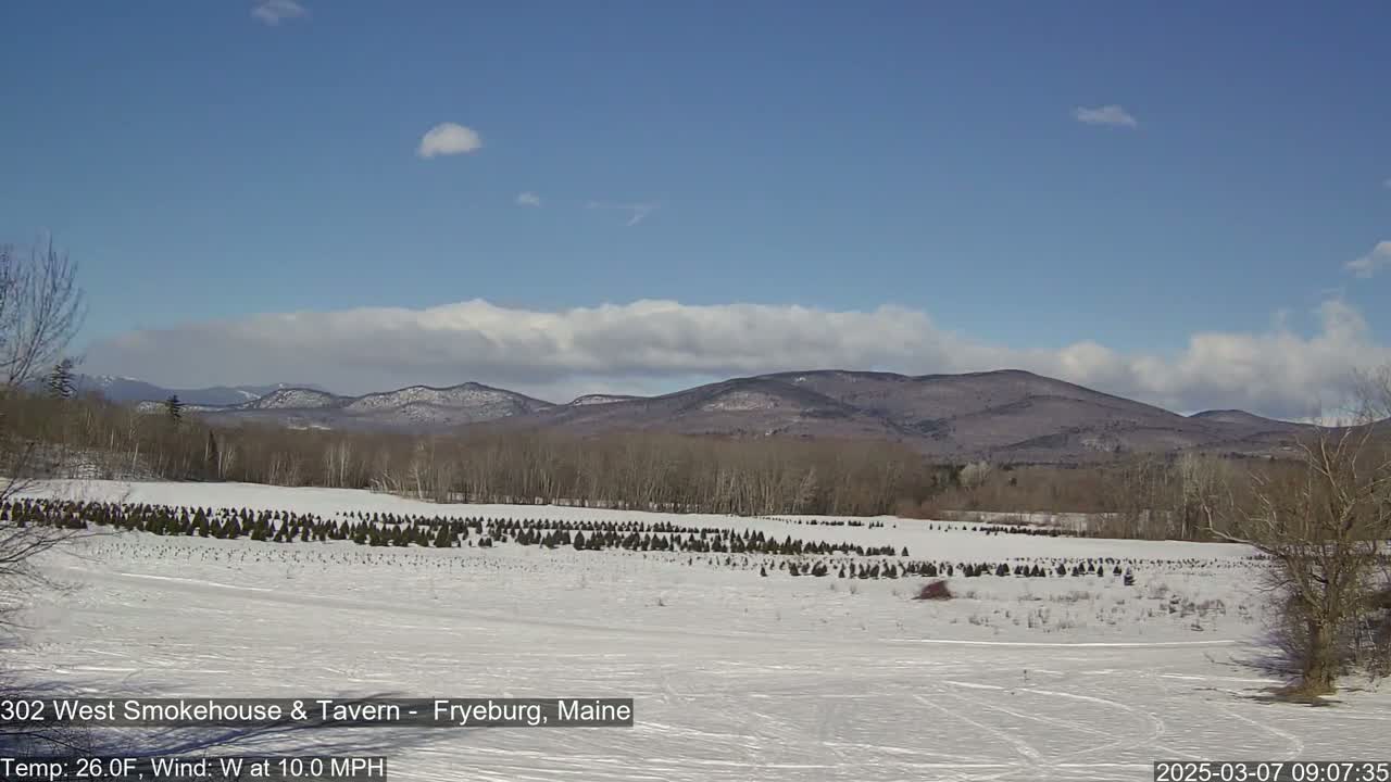 A snow-covered field with rows of small evergreen trees stretches towards a range of mountains under a partly cloudy blue sky.