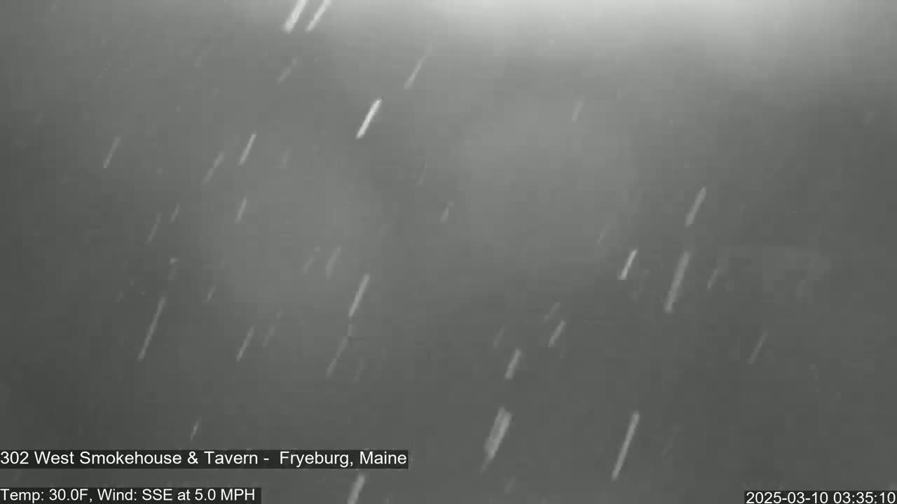 Snow falls in a dark, overcast sky.
