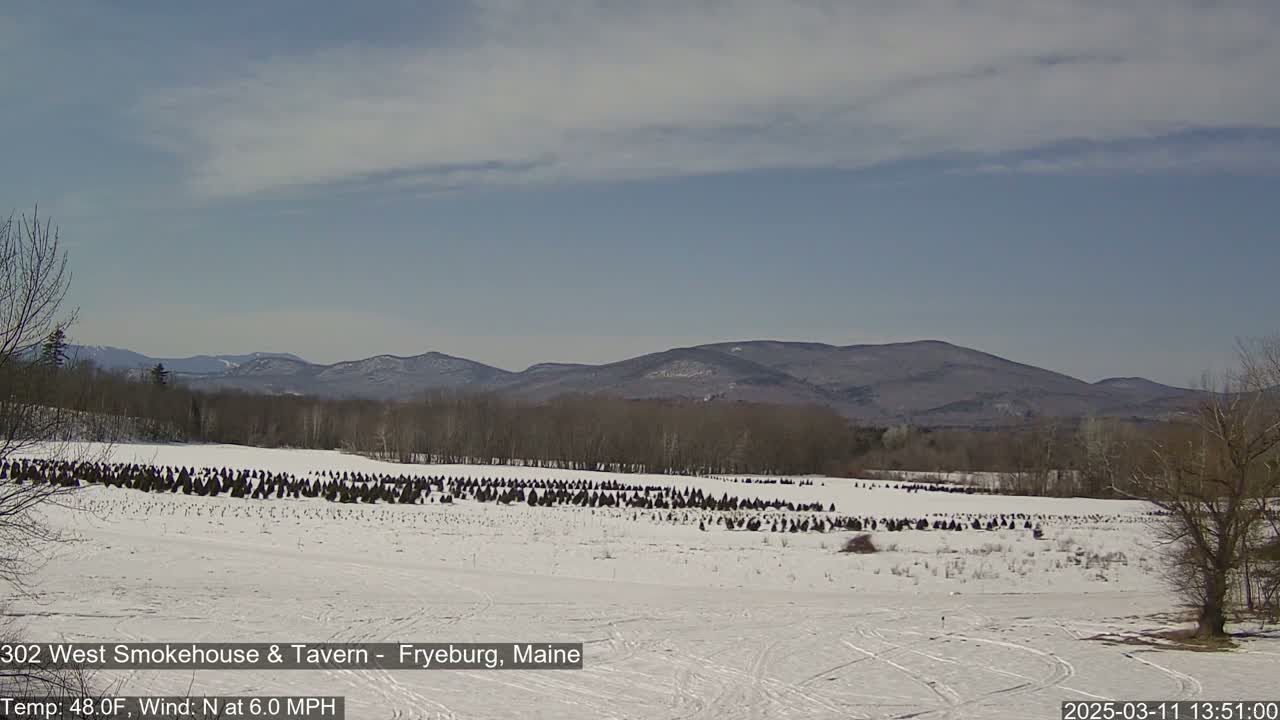 A snow-covered field with many bundled evergreen trees stretches toward a line of distant mountains under a partly cloudy sky.