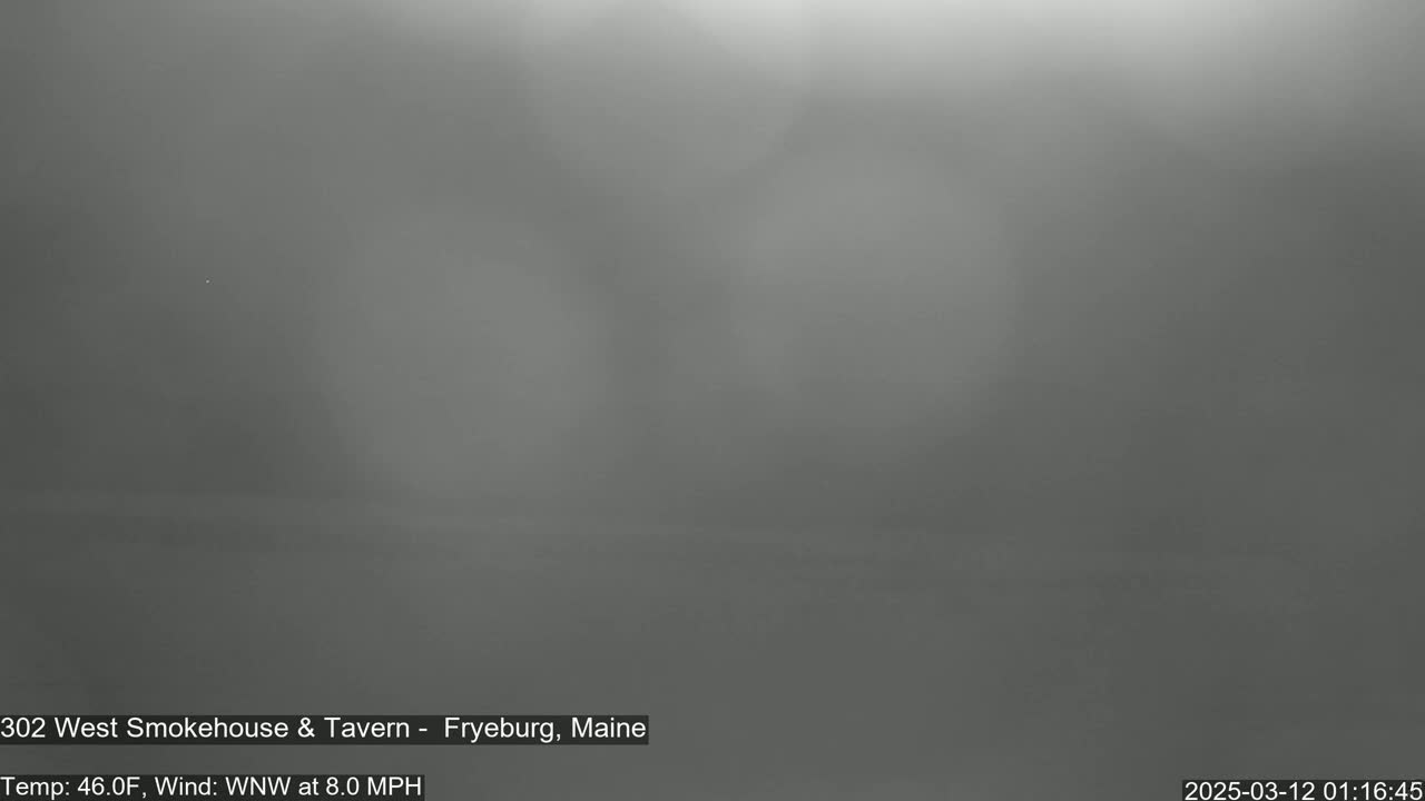 A blurry, gray image shows an overcast outdoor scene with a temperature of 46 degrees Fahrenheit and a west-northwest wind of 8 miles per hour.