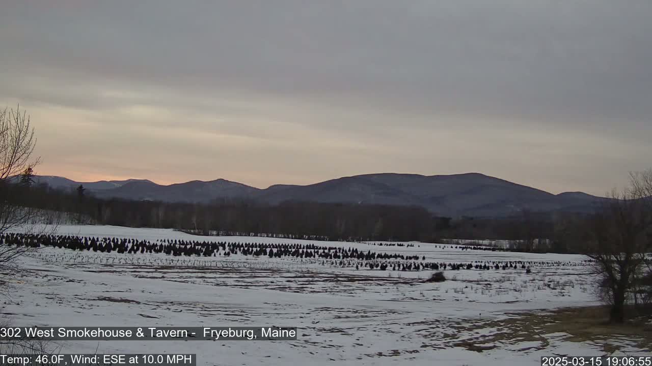 A snow-covered field with rows of small evergreen trees sits in front of a range of dark mountains under a pale, overcast sky.