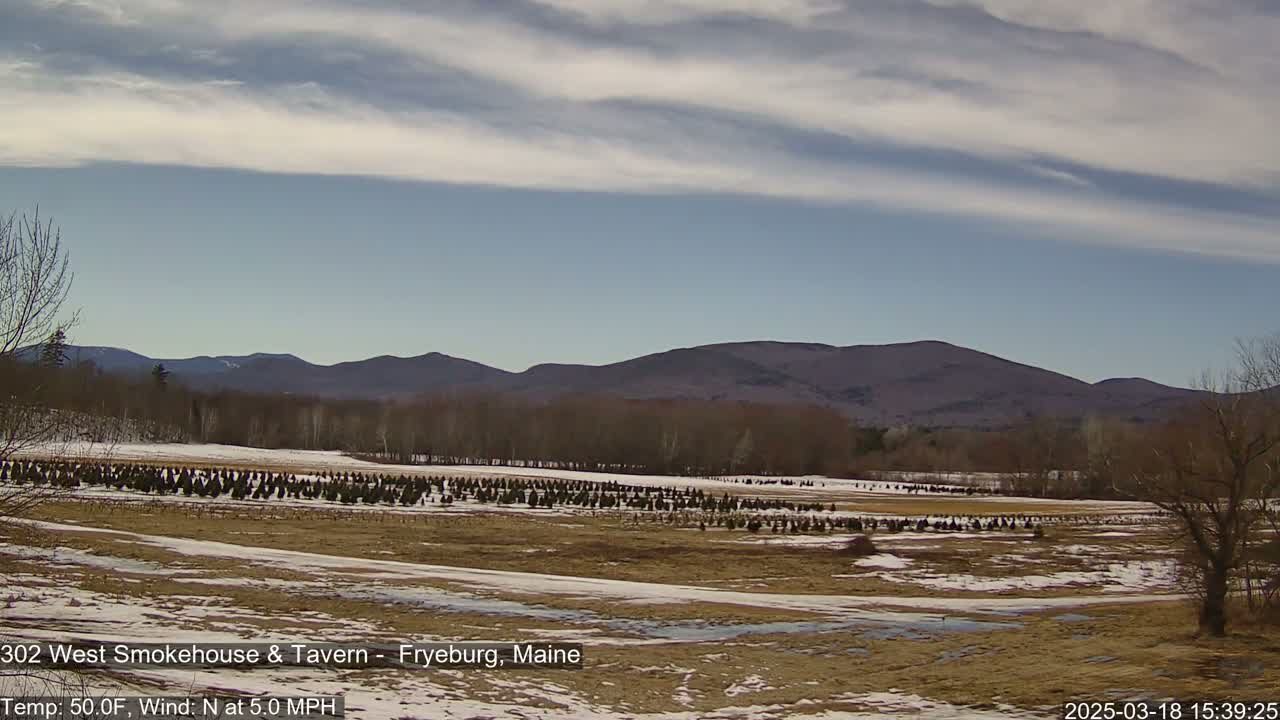 A field of young evergreen trees sits in front of a range of low mountains under a partly cloudy sky.