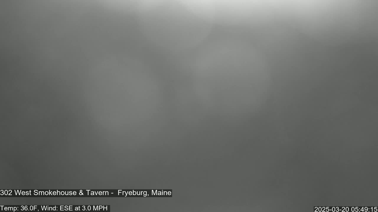 A blurry, gray, and overcast outdoor scene is visible.
