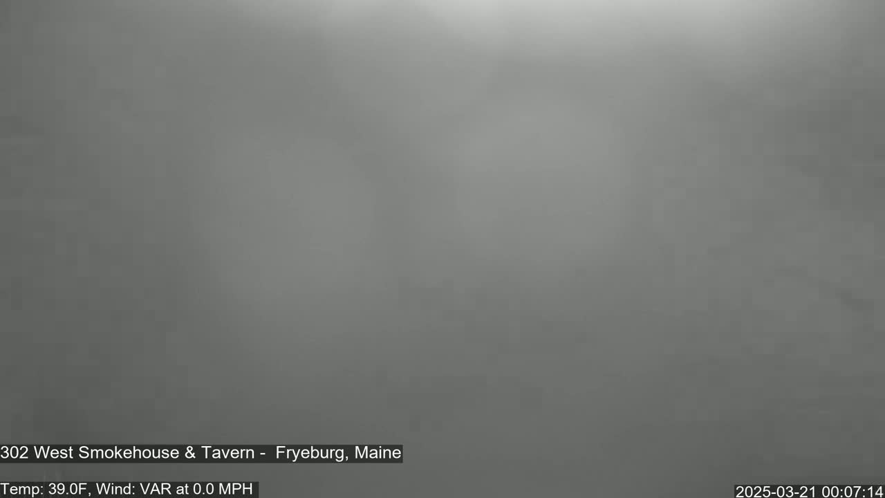A gray, foggy scene is visible.