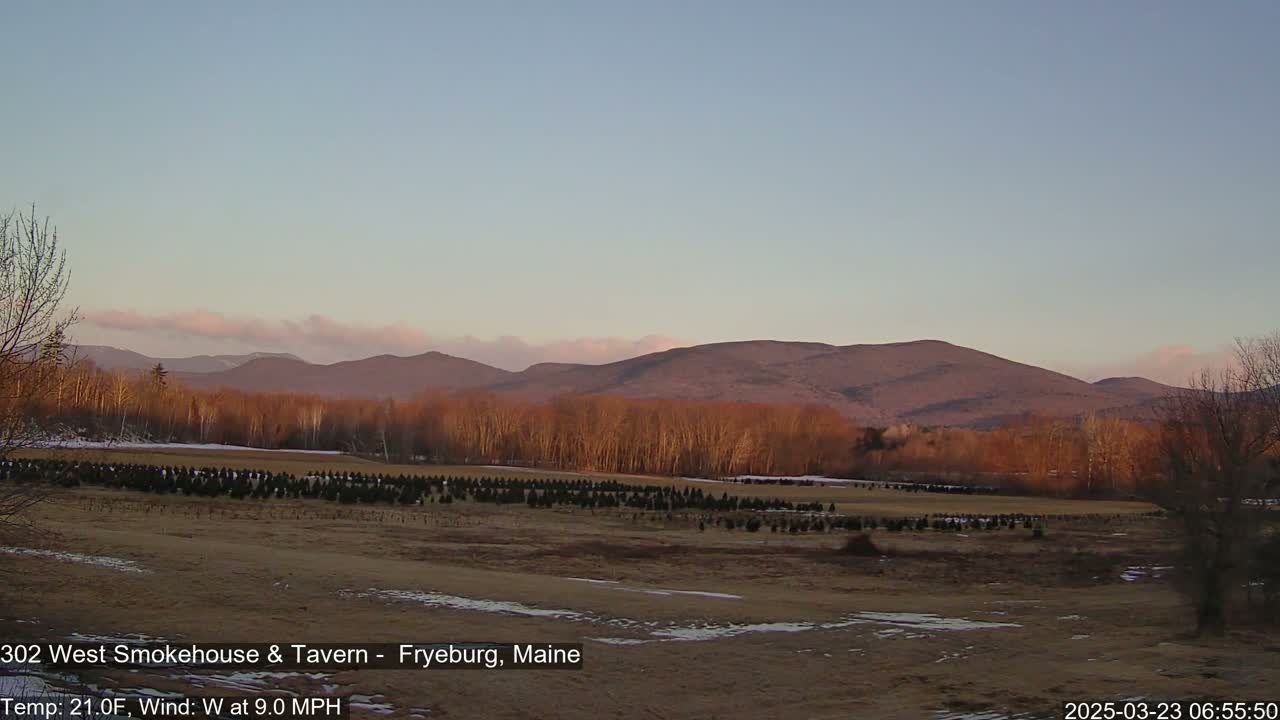 A flat, brown field with rows of small evergreen trees stretches towards a line of bare, deciduous trees and distant, purplish-brown mountains under a pale blue, twilight sky.