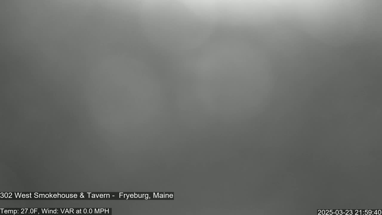 A blurry, gray image shows a foggy or overcast night scene.