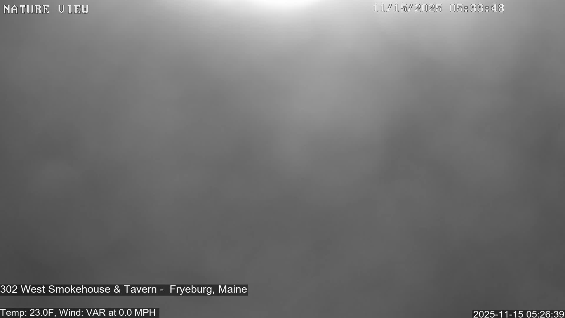 Fryeburg Conway Common Landstate Forest Live Cam- Maine, USA