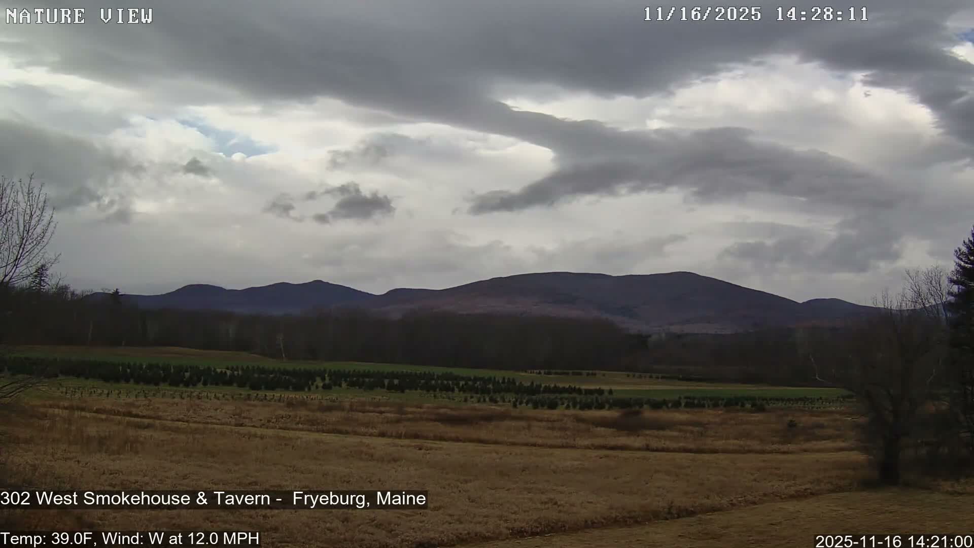 Fryeburg Conway Common Landstate Forest Live Cam- Maine, USA