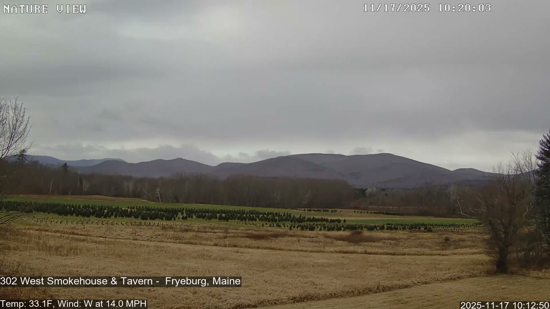 Fryeburg Conway Common Landstate Forest Live Cam- Maine, USA