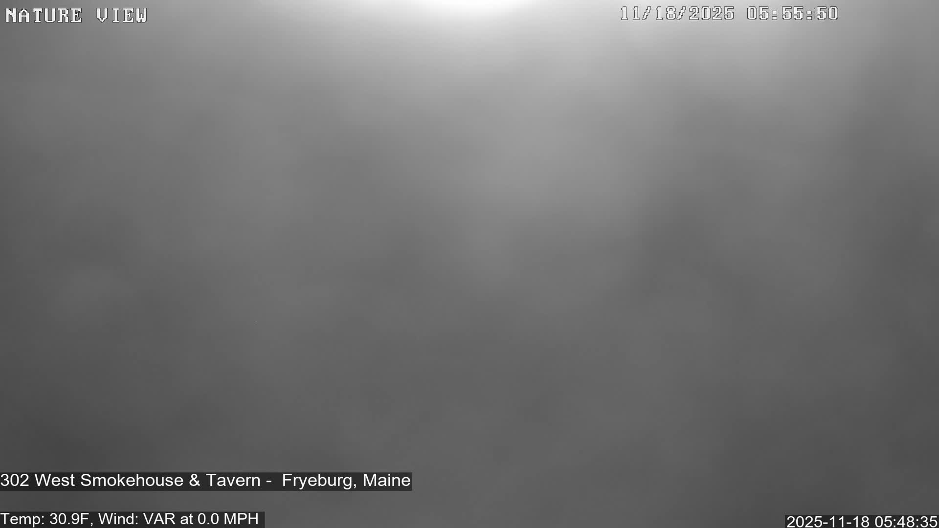 Fryeburg Conway Common Landstate Forest Live Cam- Maine, USA