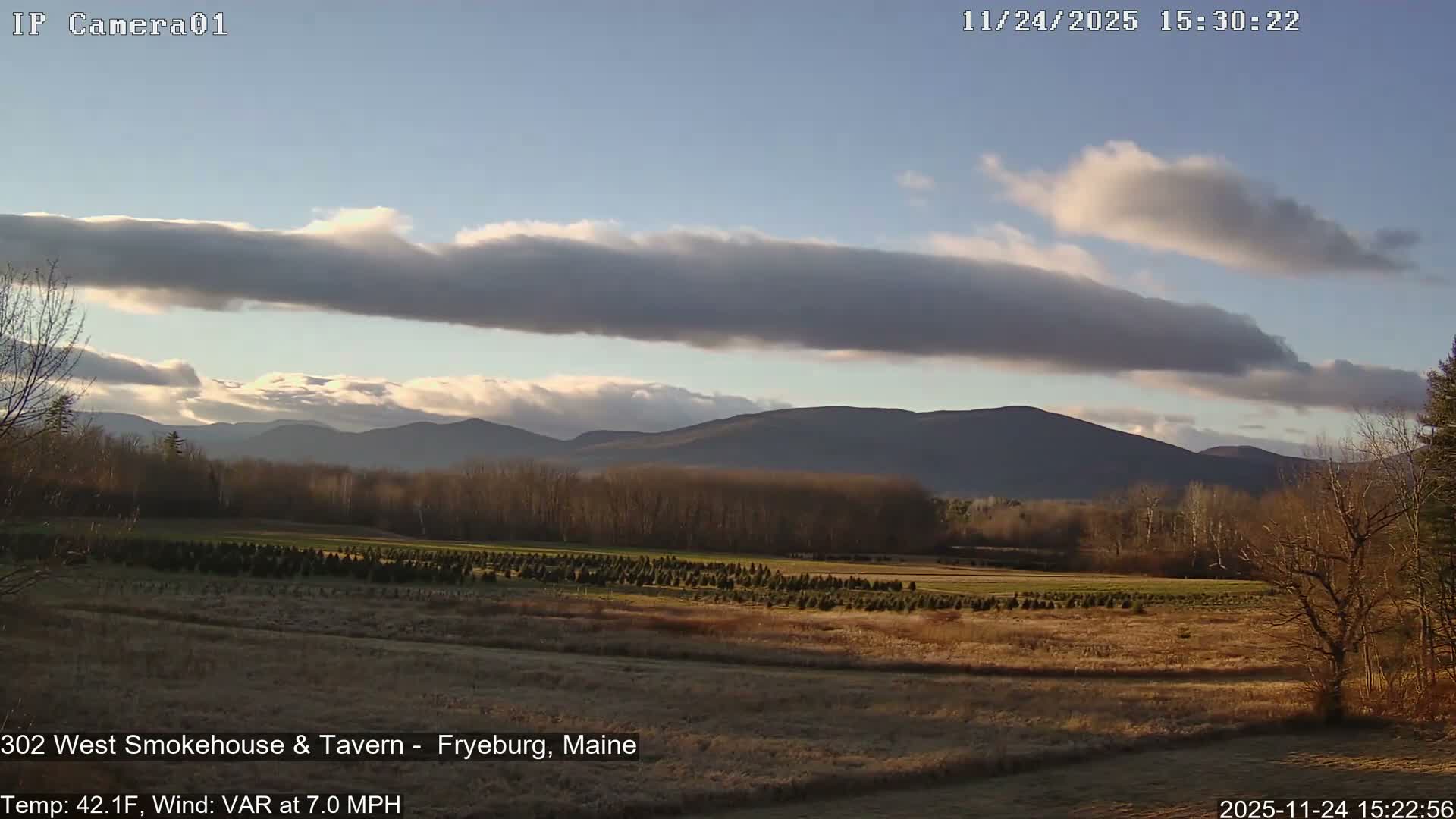 Fryeburg Conway Common Landstate Forest Live Cam- Maine, USA