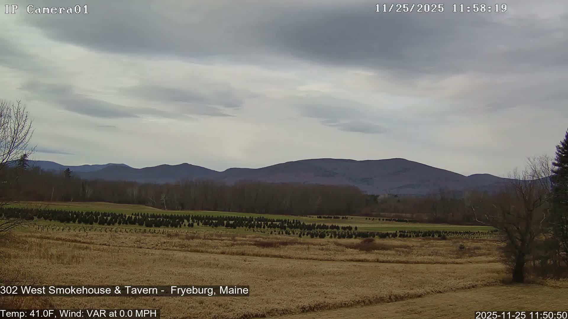 Fryeburg Conway Common Landstate Forest Live Cam- Maine, USA