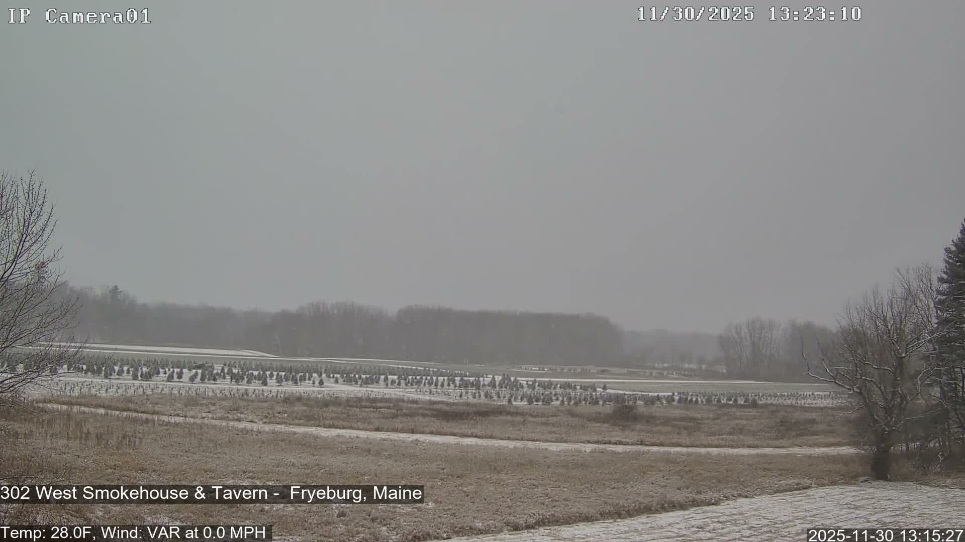 Fryeburg Conway Common Landstate Forest Live Cam- Maine, USA