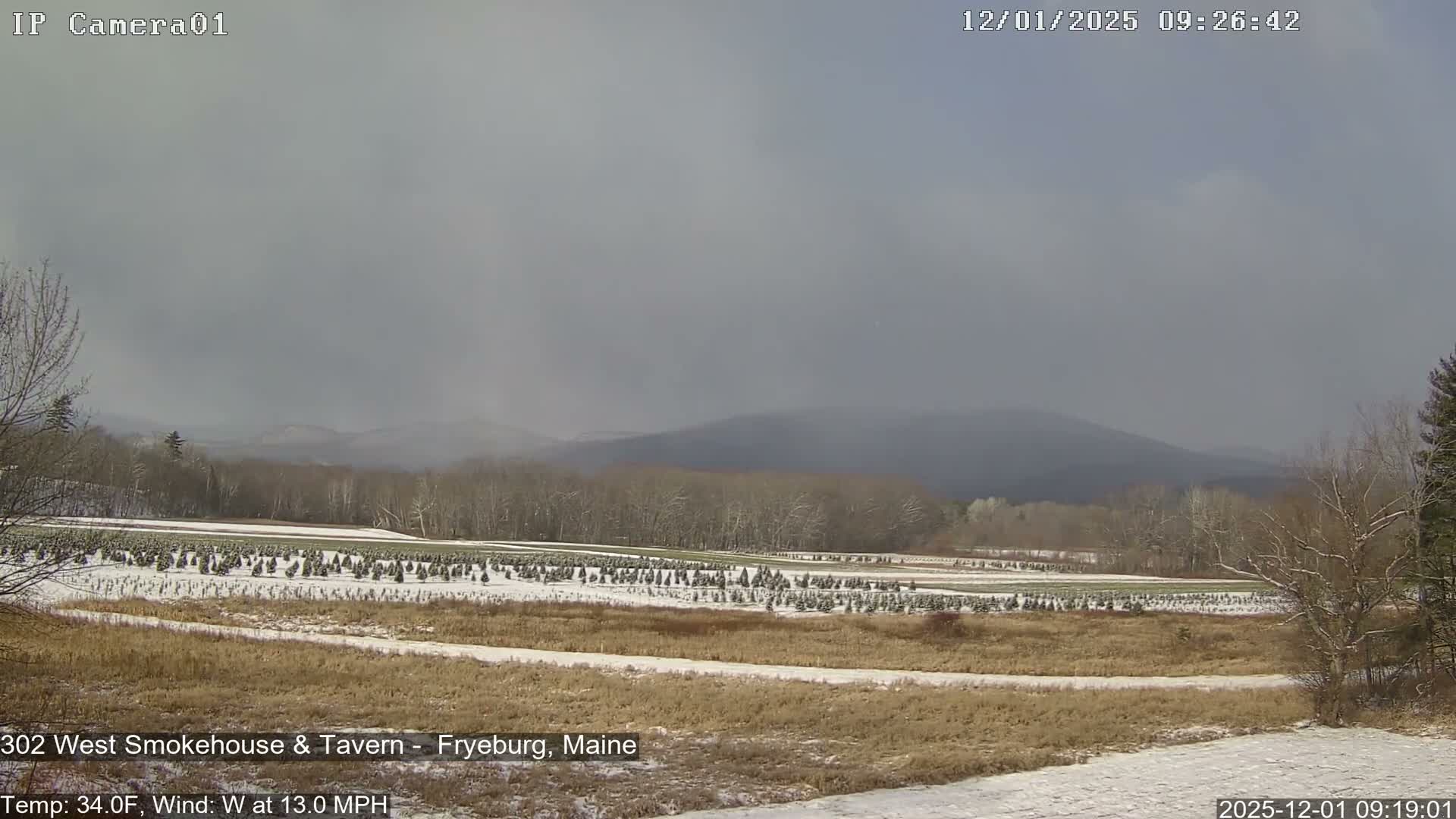 Fryeburg Conway Common Landstate Forest Live Cam- Maine, USA