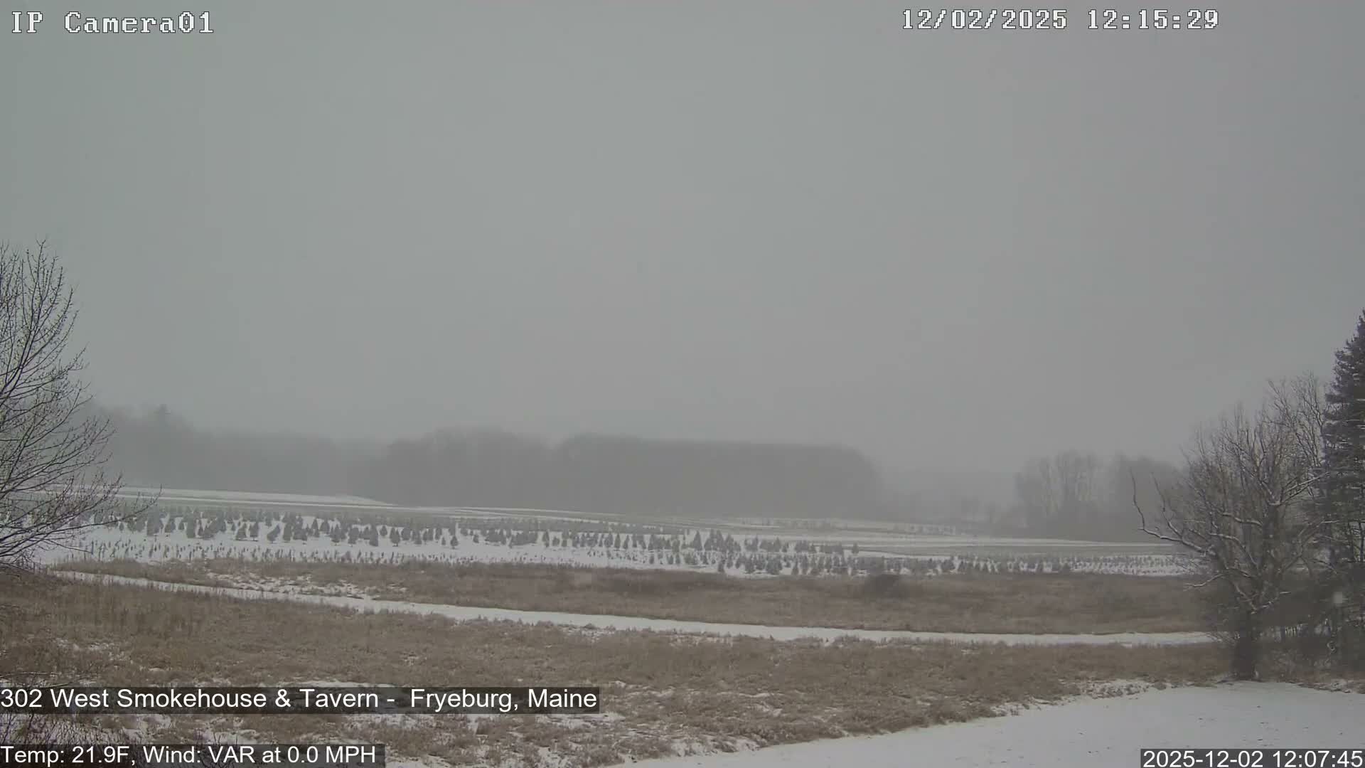 A snowy, overcast winter day shows a field partially covered in snow with rows of small evergreens and bare deciduous trees, all under a hazy, gray sky with what appears to be light falling snow.