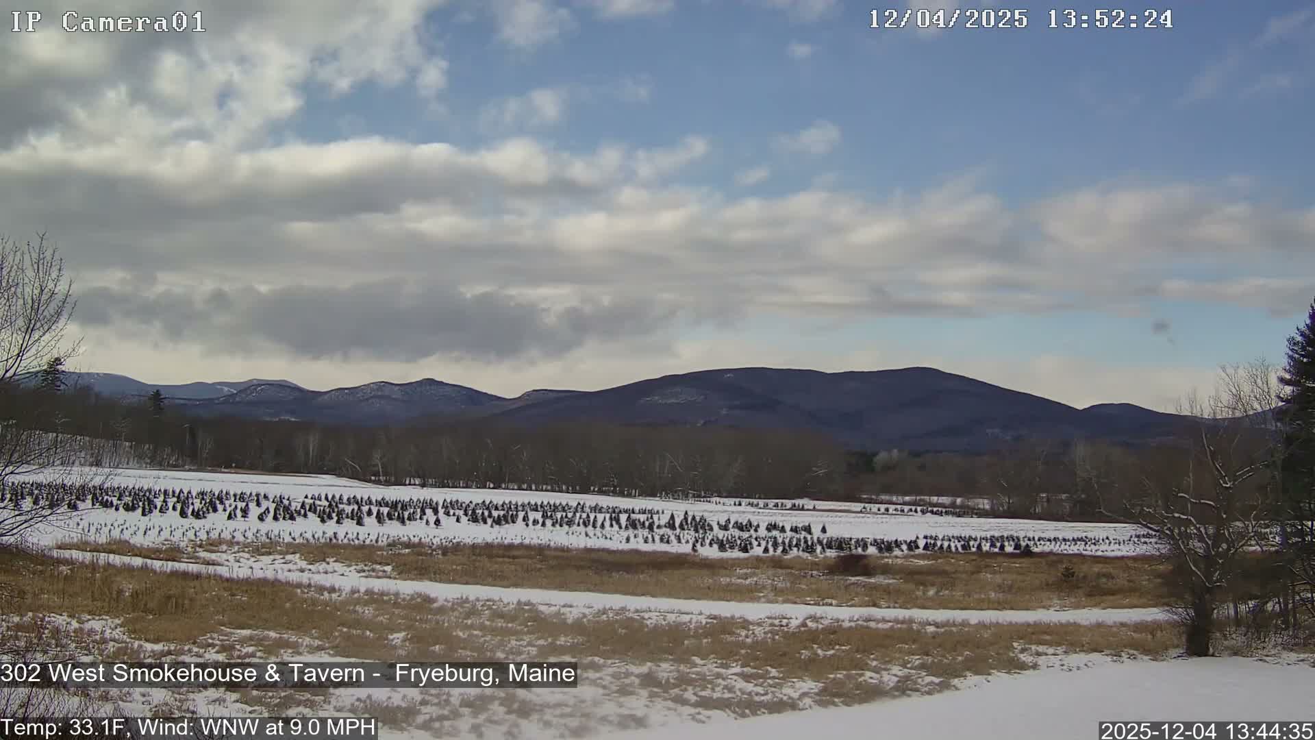 Fryeburg Conway Common Landstate Forest Live Cam- Maine, USA