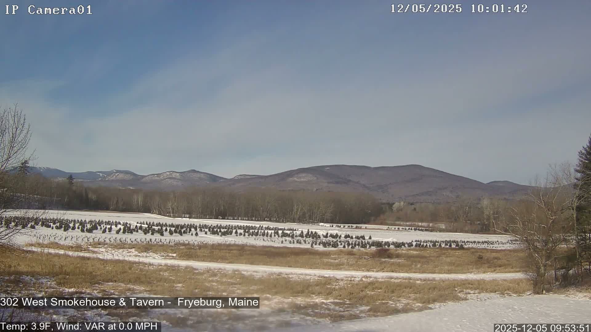 Fryeburg Conway Common Landstate Forest Live Cam- Maine, USA