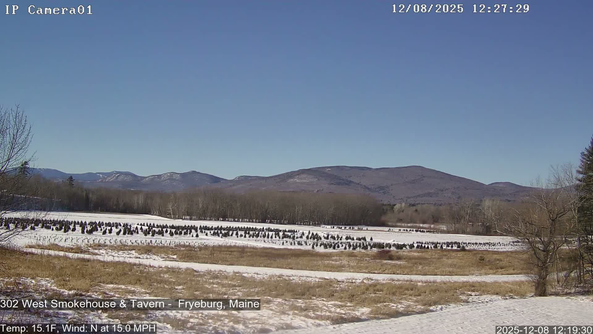 Fryeburg Conway Common Landstate Forest Live Cam- Maine, USA