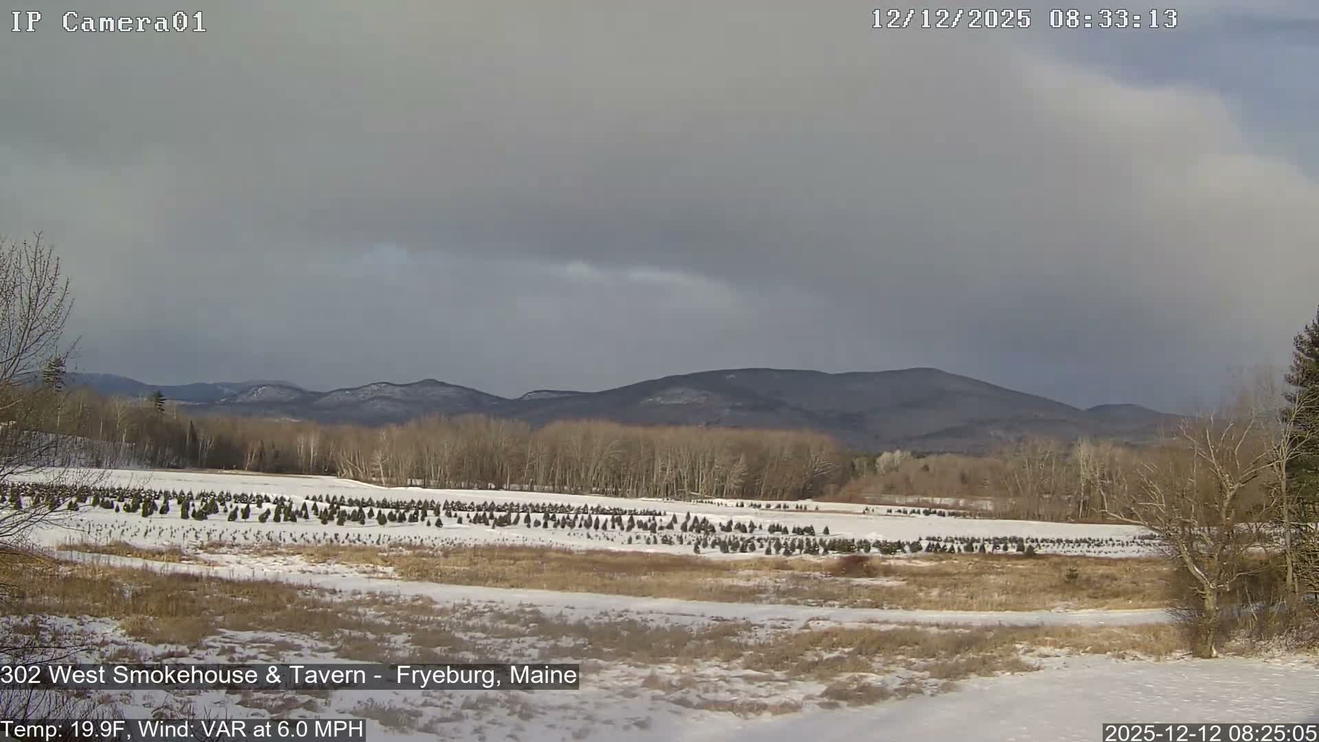 Fryeburg Conway Common Landstate Forest Live Cam- Maine, USA