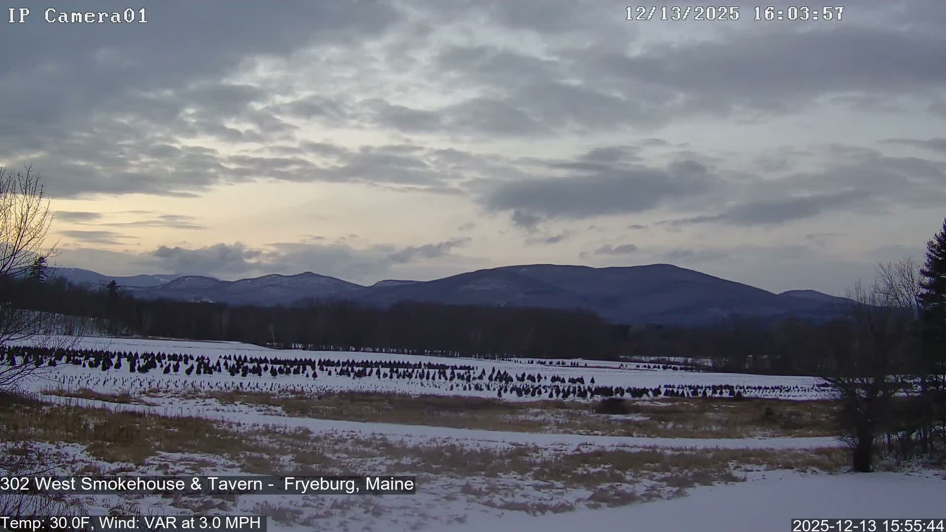 Fryeburg Conway Common Landstate Forest Live Cam- Maine, USA