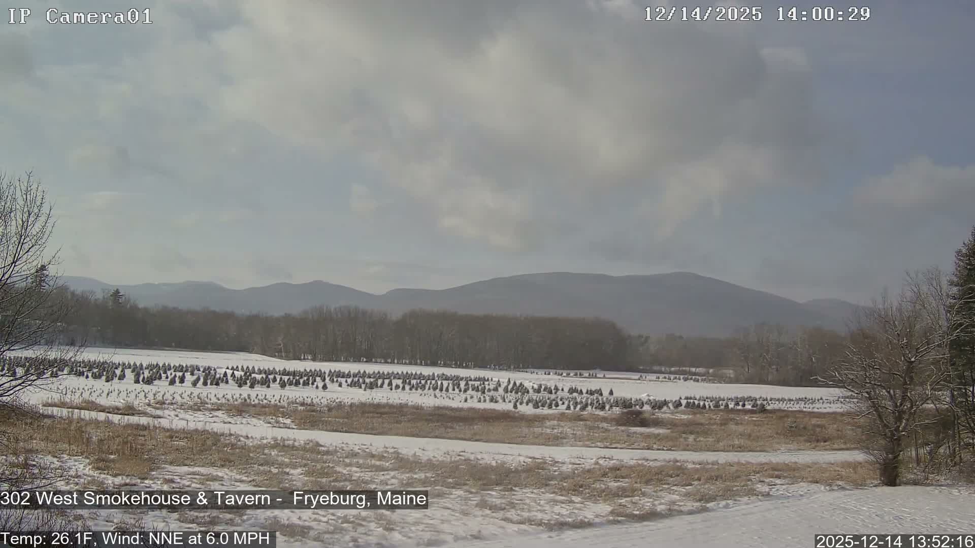 The image displays an outdoor scene completely obscured by dense fog or mist under dark conditions, rendered in a uniform dark gray with a faint lighter glow at the top edge.