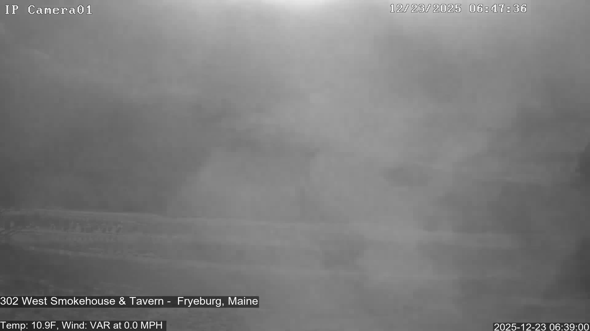 Fryeburg Conway Common Landstate Forest Live Cam- Maine, USA