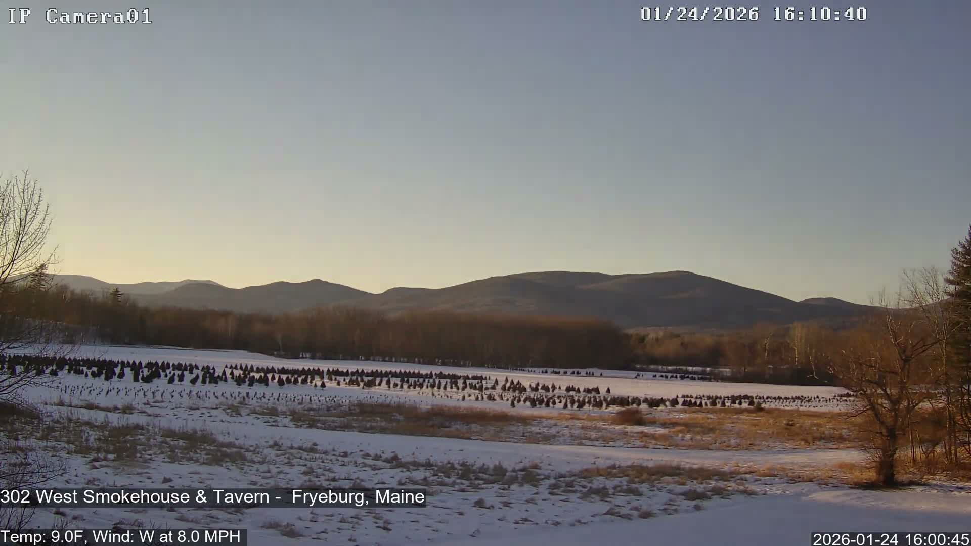 Fryeburg Conway Common Landstate Forest Live Cam- Maine, USA