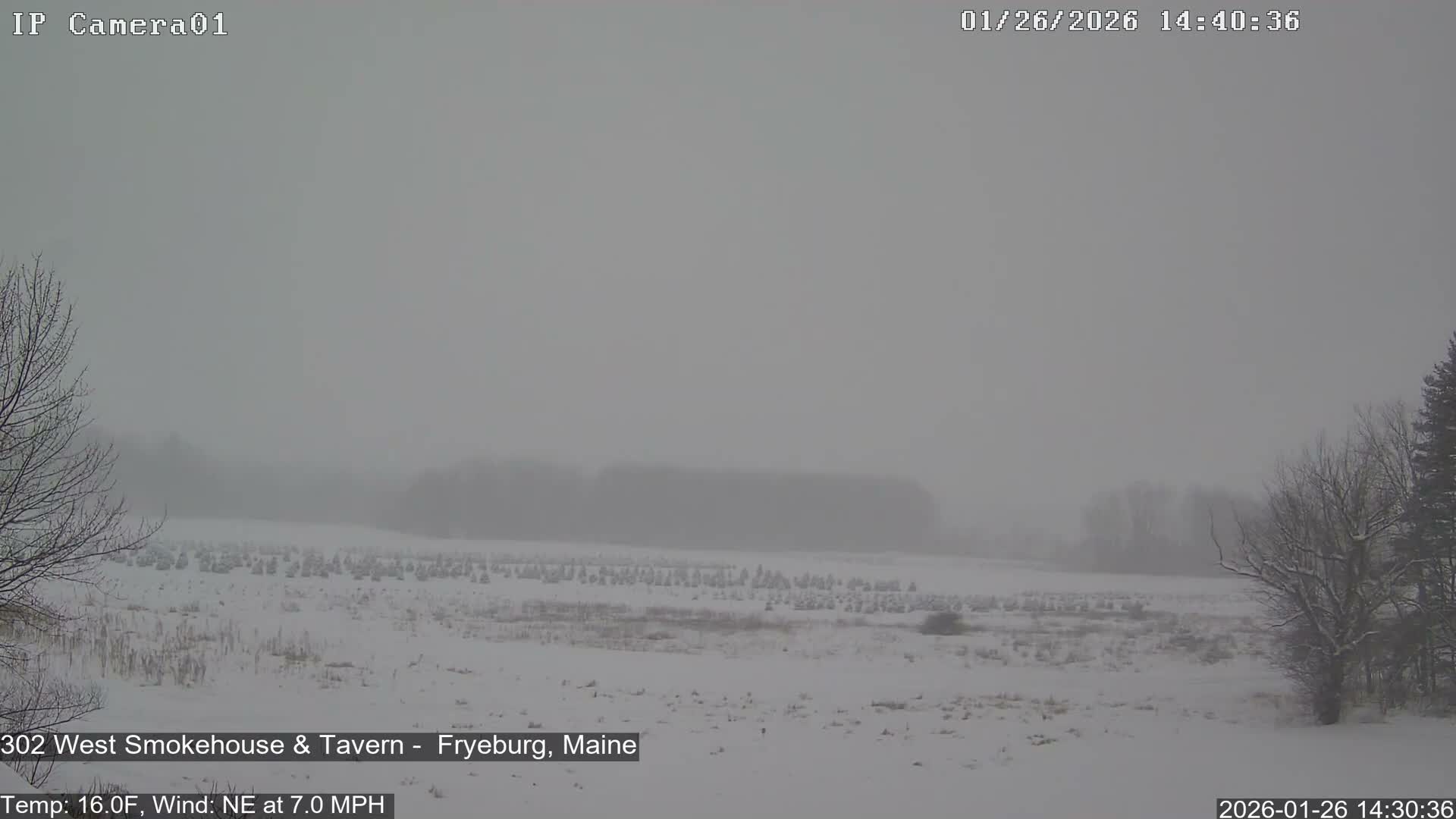 Fryeburg Conway Common Landstate Forest Live Cam- Maine, USA