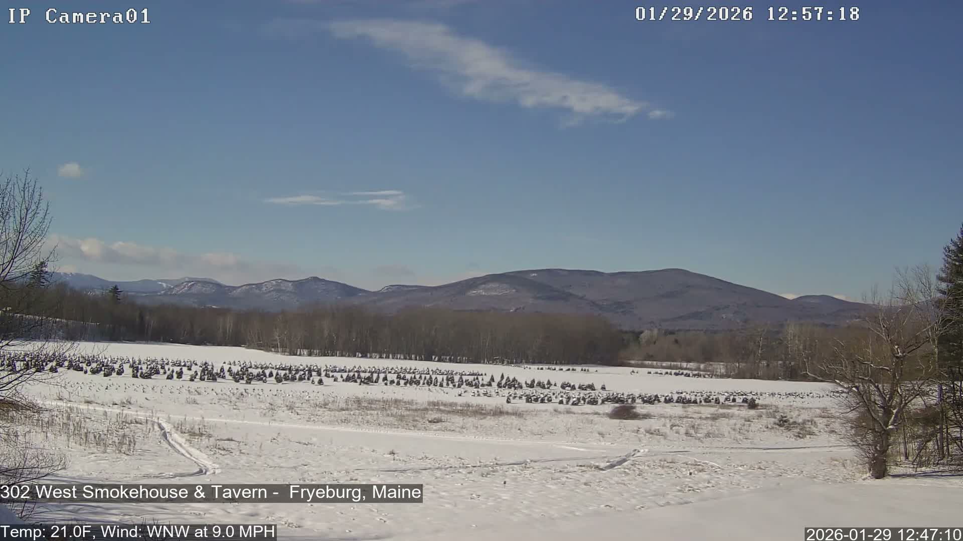 Fryeburg Conway Common Landstate Forest Live Cam- Maine, USA
