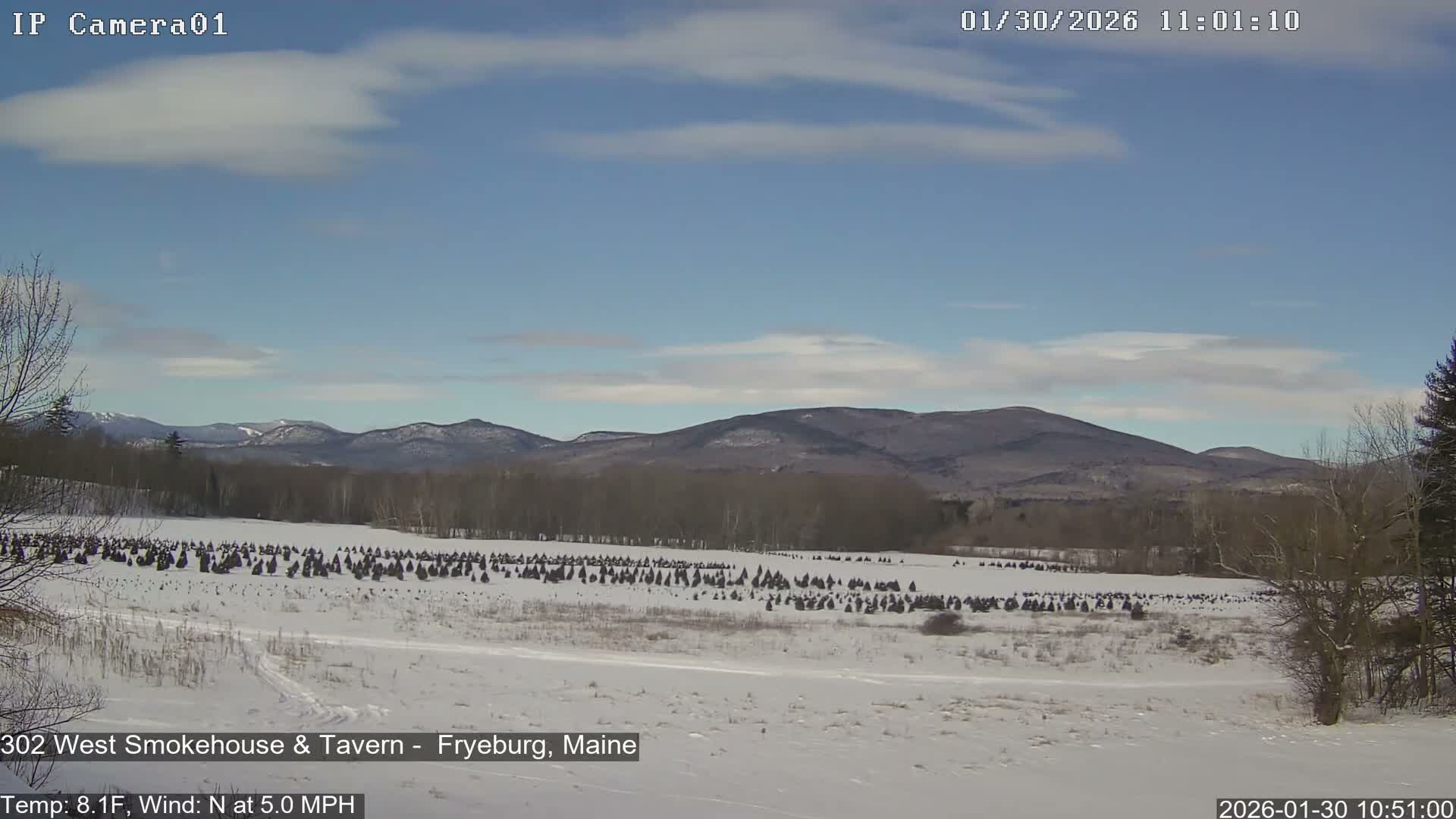 Fryeburg Conway Common Landstate Forest Live Cam- Maine, USA