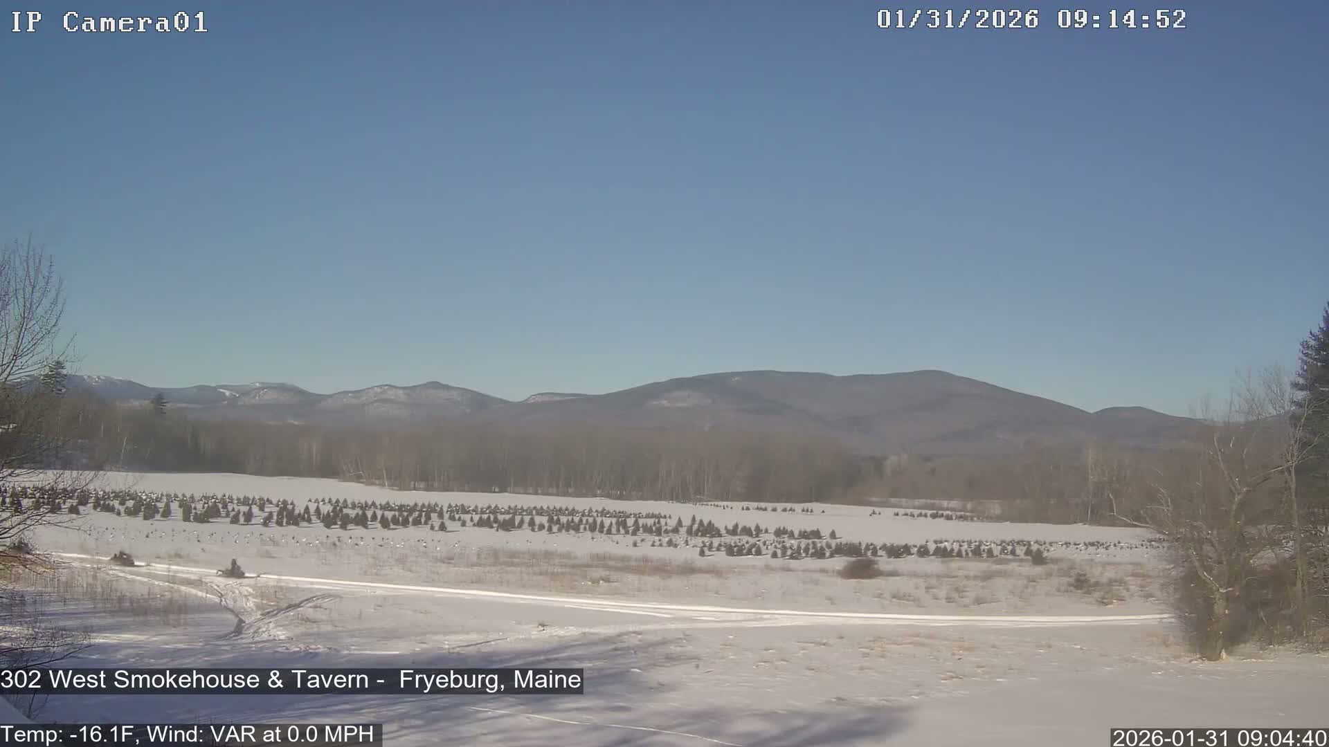 Fryeburg Conway Common Landstate Forest Live Cam- Maine, USA