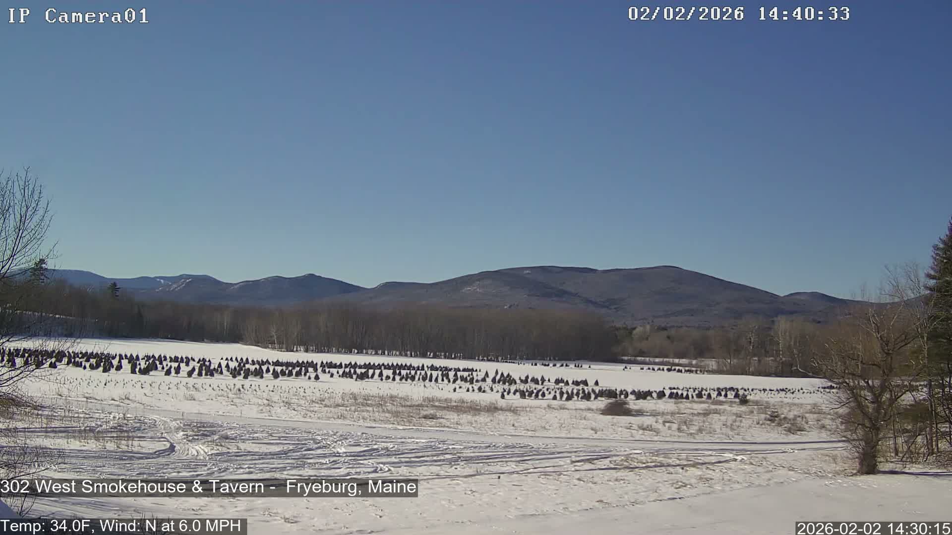 Fryeburg Conway Common Landstate Forest Live Cam- Maine, USA