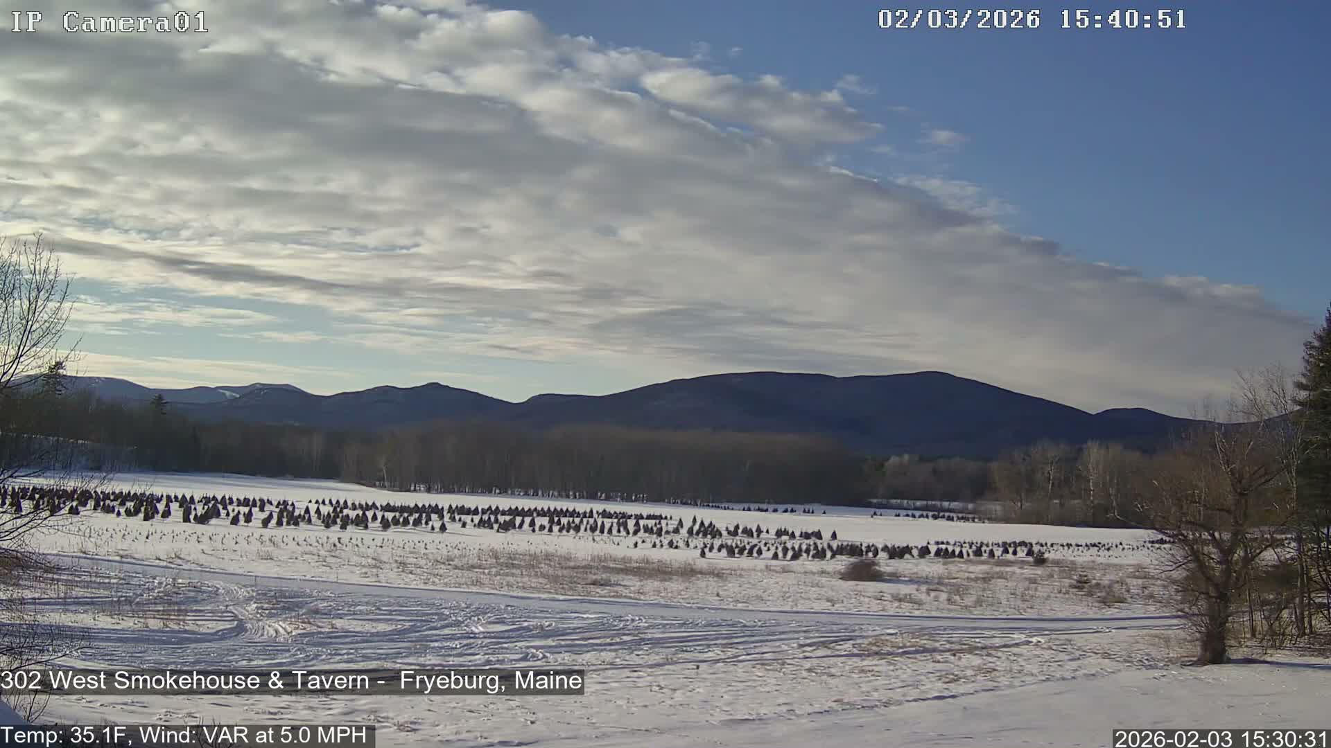 Fryeburg Conway Common Landstate Forest Live Cam- Maine, USA