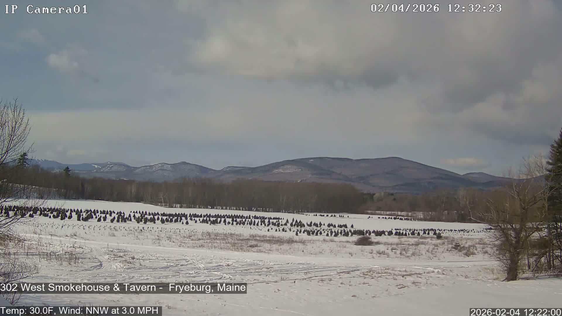 Fryeburg Conway Common Landstate Forest Live Cam- Maine, USA