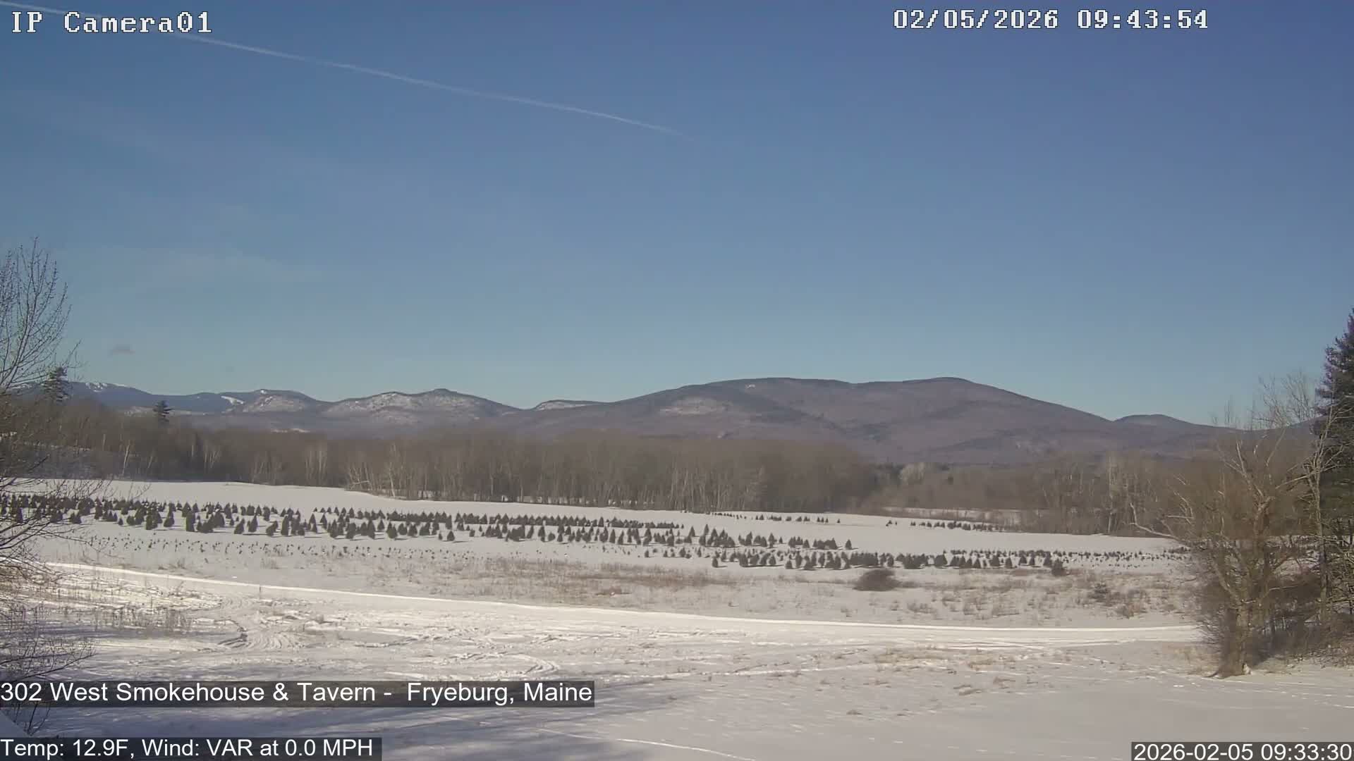 Fryeburg Conway Common Landstate Forest Live Cam- Maine, USA