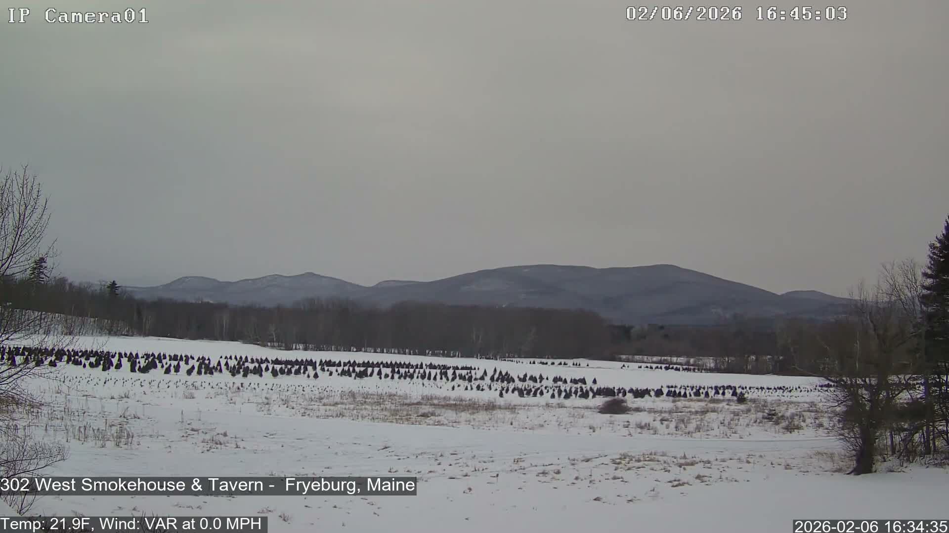 Fryeburg Conway Common Landstate Forest Live Cam- Maine, USA