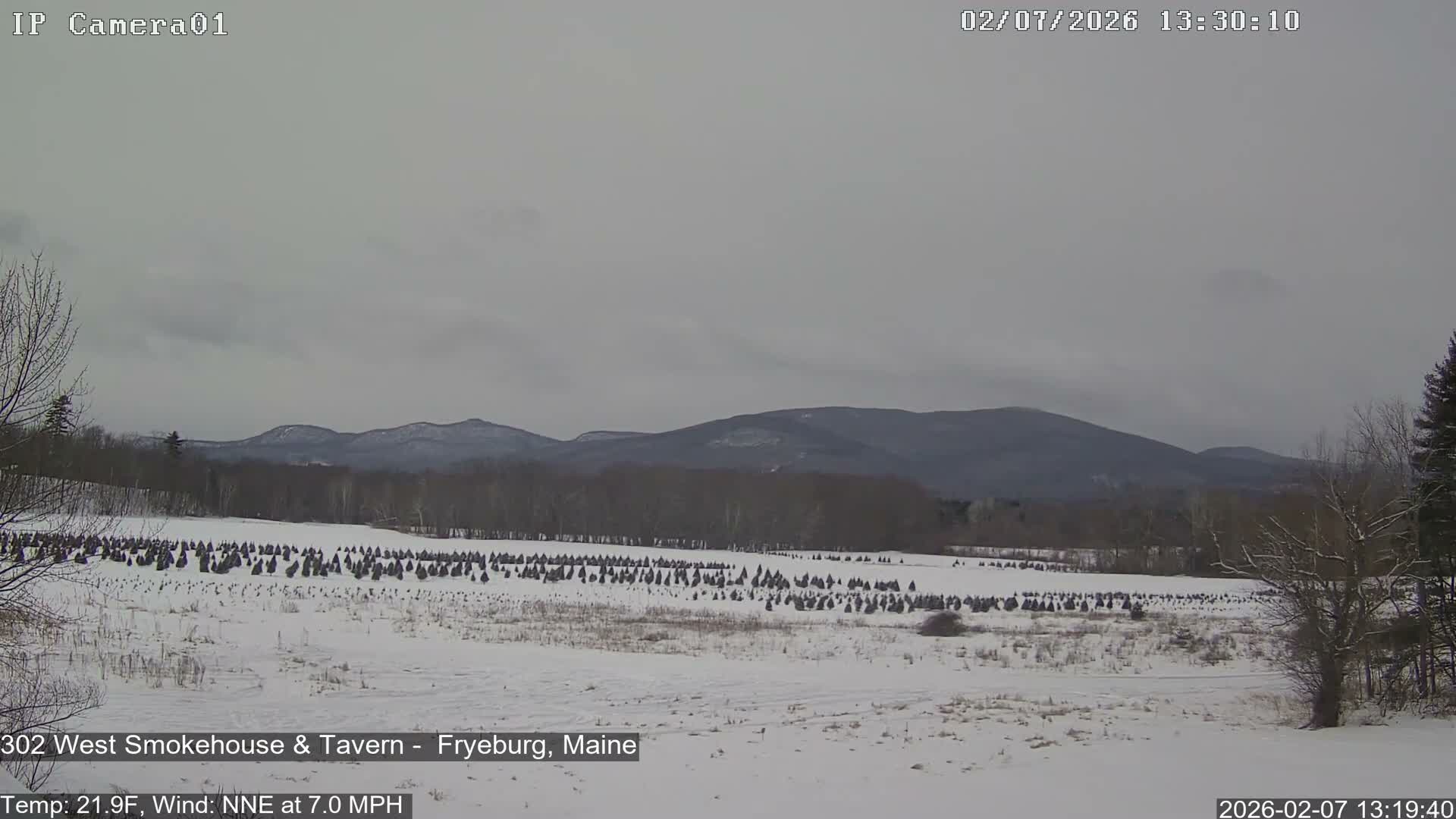 Fryeburg Conway Common Landstate Forest Live Cam- Maine, USA