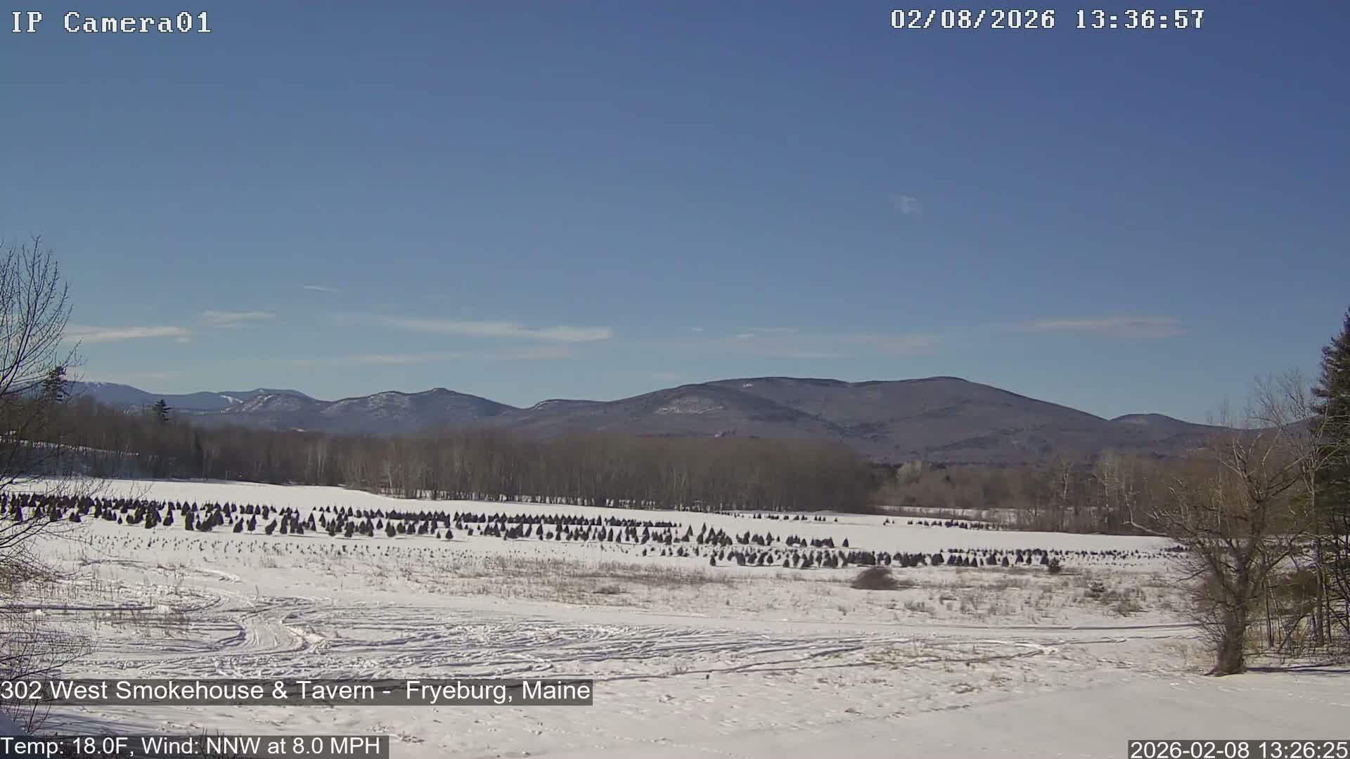 Fryeburg Conway Common Landstate Forest Live Cam- Maine, USA