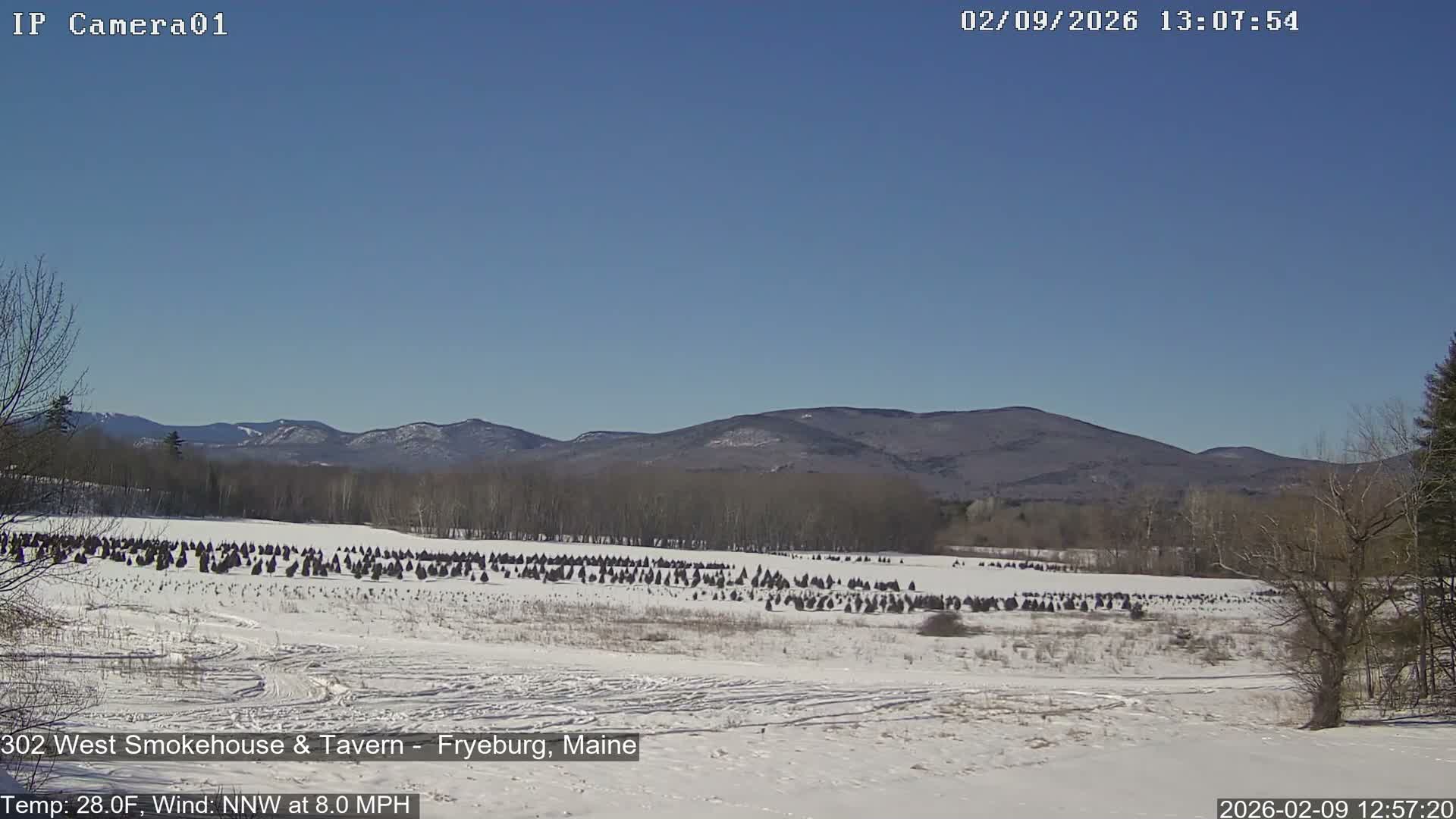 Fryeburg Conway Common Landstate Forest Live Cam- Maine, USA